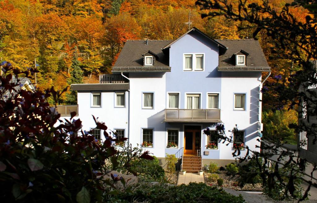 Hotel Ricarda Schlangenbad Eksteriør bilde